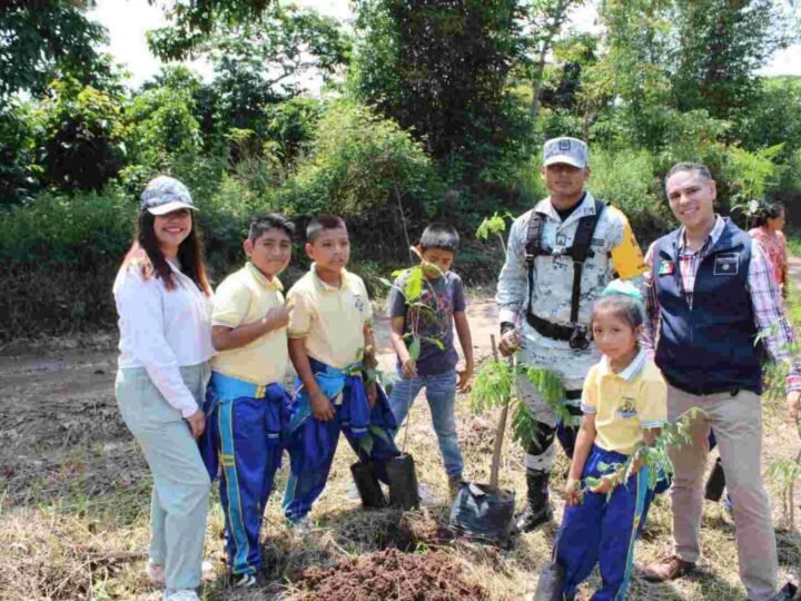 EMPRENDEN SIEMBRA DE ÁRBOLES EN TENAMPA