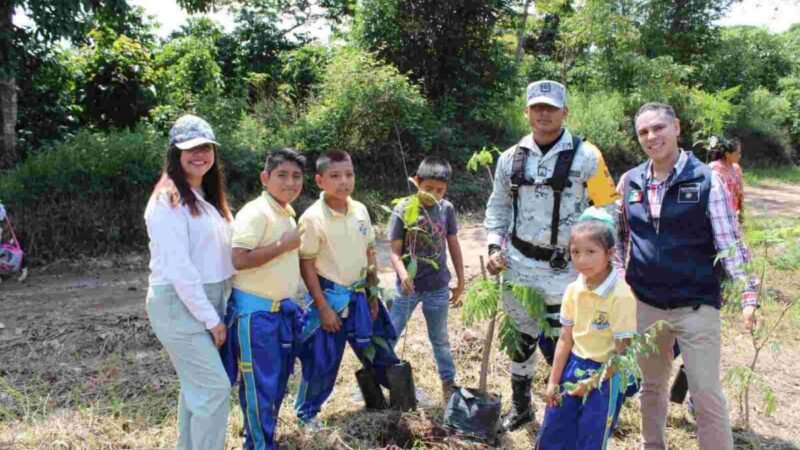 EMPRENDEN SIEMBRA DE ÁRBOLES EN TENAMPA