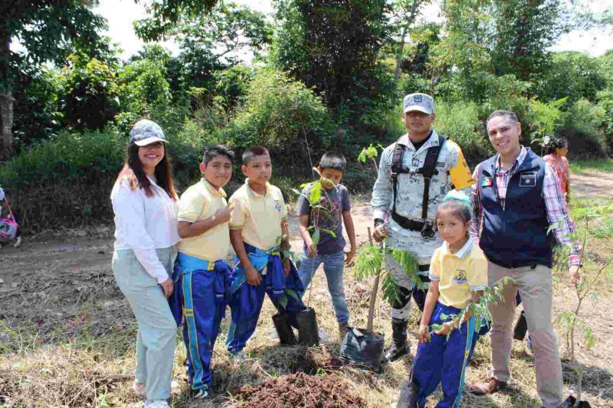 EMPRENDEN SIEMBRA DE ÁRBOLES EN TENAMPA
