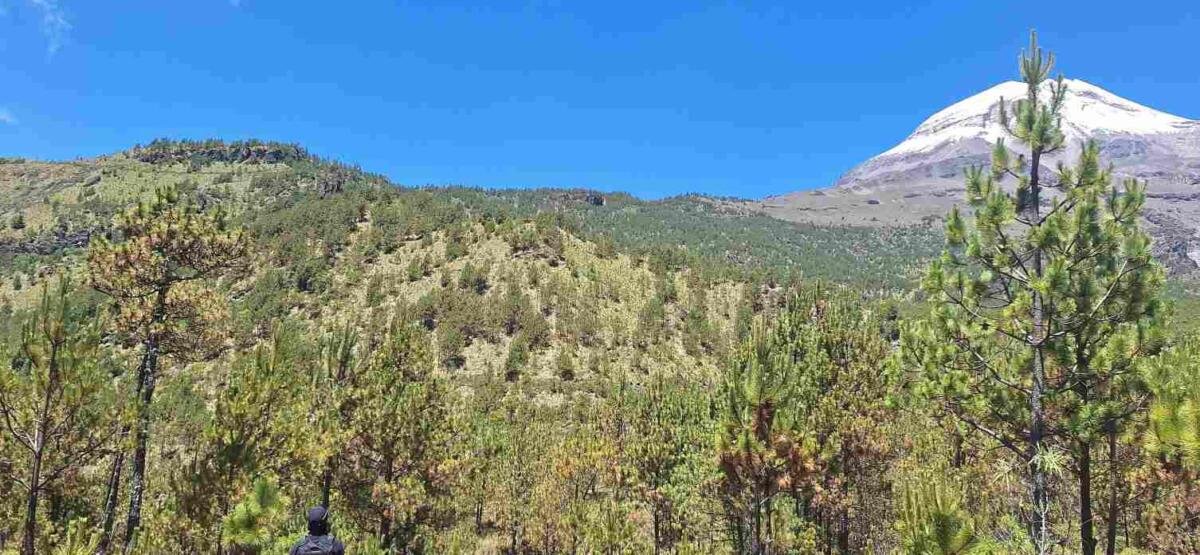 ¡¡¡POR FIN!!! PONDRÁN EN MARCHA PROYECTO PARA RESCATE DEL PARQUE NACIONAL PICO DE ORIZABA