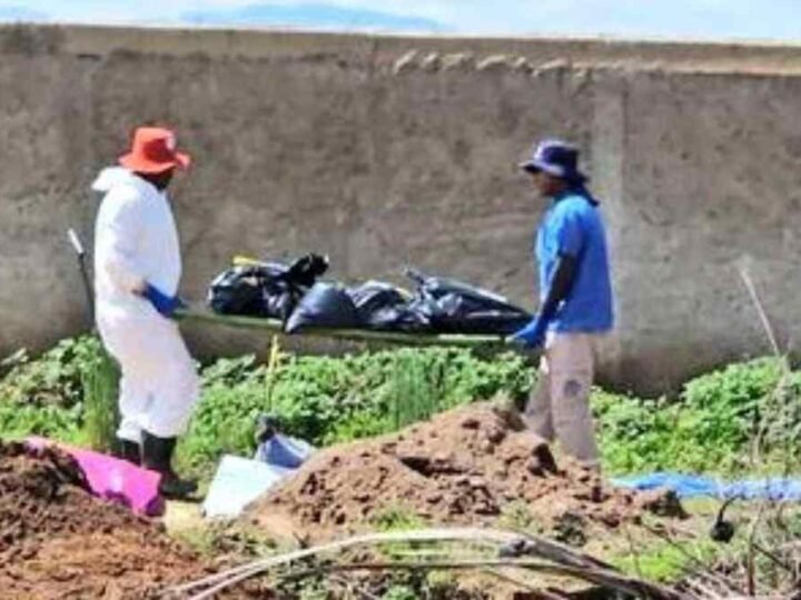 SUMAN 223 BOLSAS CON RESTOS HUMANOS HALLADAS EN FOSAS DE JALISCO