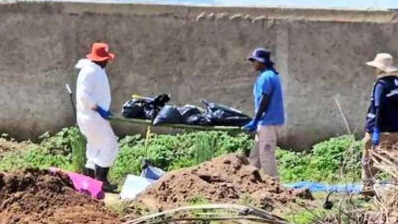 SUMAN 223 BOLSAS CON RESTOS HUMANOS HALLADAS EN FOSAS DE JALISCO