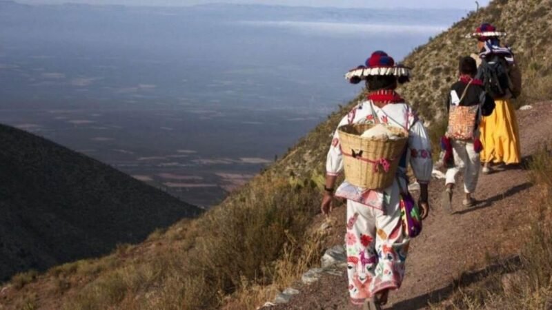 INSCRIBEN RUTA SAGRADA WIXÁRIKA AL PATRIMONIO MUNDIAL DE LA UNESCO
