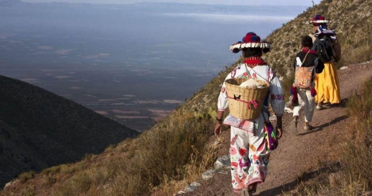 INSCRIBEN RUTA SAGRADA WIXÁRIKA AL PATRIMONIO MUNDIAL DE LA UNESCO
