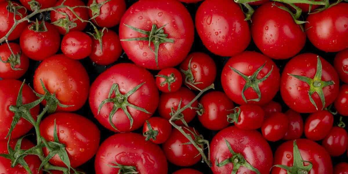 ALERTAN UN ALZA DE PRECIOS Y RIESGO ALIMENTARIO POR CUOTA AL JITOMATE