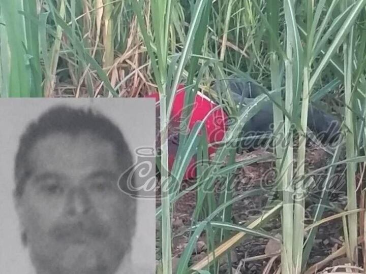 ENCUENTRAN PUTREFACTO A TAXISTA DE OMEALCA