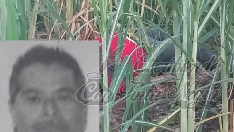 ENCUENTRAN PUTREFACTO A TAXISTA DE OMEALCA