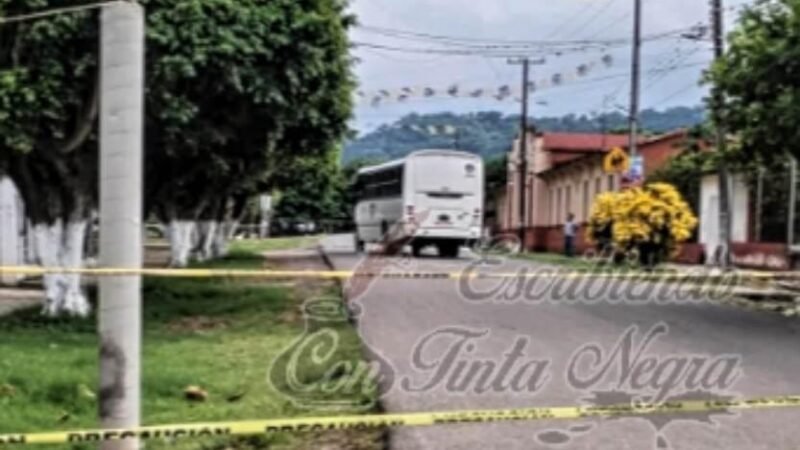 EJECUTAN A CHOFER DE AUTOBÚS; UNA MUJER MURIÓ POR UNA BALA PERDIDA