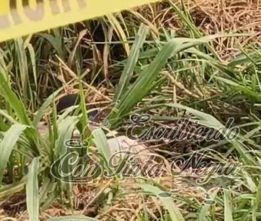 ENCUENTRAN EJECUTADO EN LAS MATAS