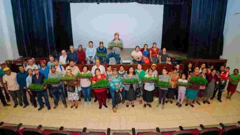 PROMUEVEN PRODUCCIÓN SUSTENTABLE DE HORTALIZAS EN COSCOMATEPEC