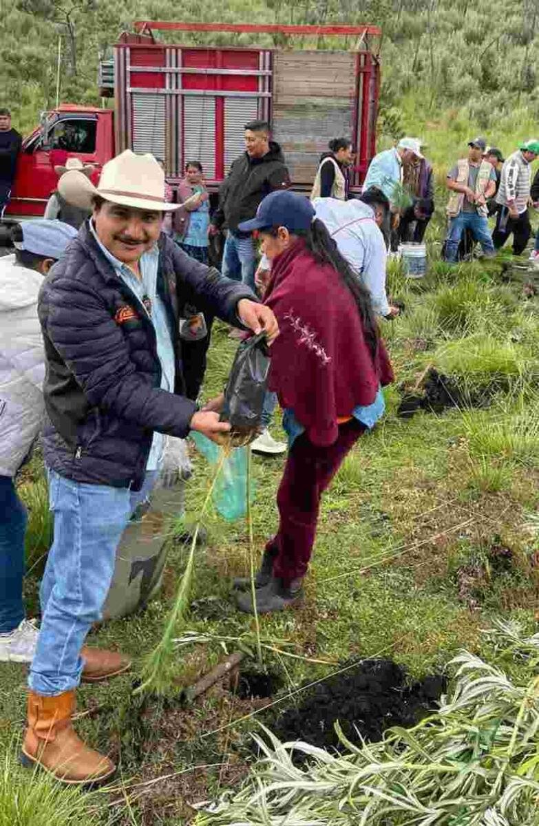 EMPRENDEN JORNADA DE REFORESTACIÓN EN EL PICO DE ORIZABA