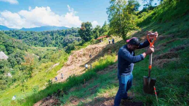 REALIZAN REFORESTACIÓN EN TETLAXCO