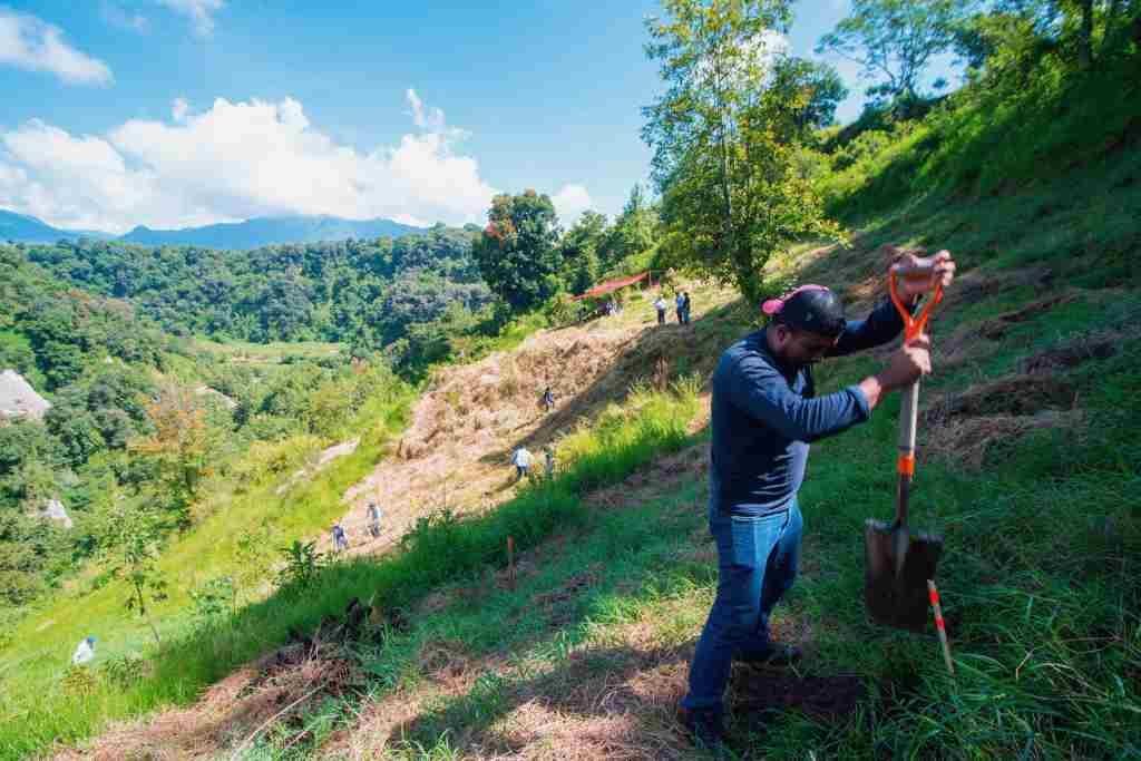 REALIZAN REFORESTACIÓN EN TETLAXCO