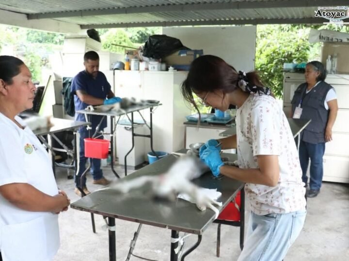 UN ÉXITO, CAMPAÑA DE ESTERILIZACIÓN EN ATOYAC