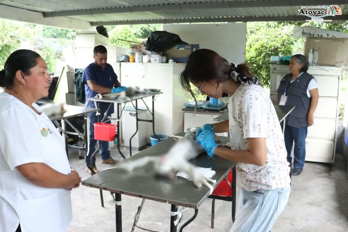 UN ÉXITO, CAMPAÑA DE ESTERILIZACIÓN EN ATOYAC