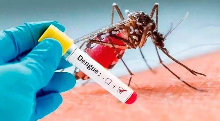 MÉXICO SUMA MÁS DE 5 MIL 600 CASOS DE DENGUE