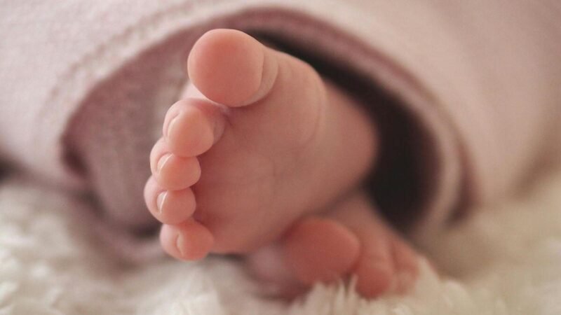 MÉXICO SUMA 60 MUERTES DE NIÑOS POR TOS FERINA