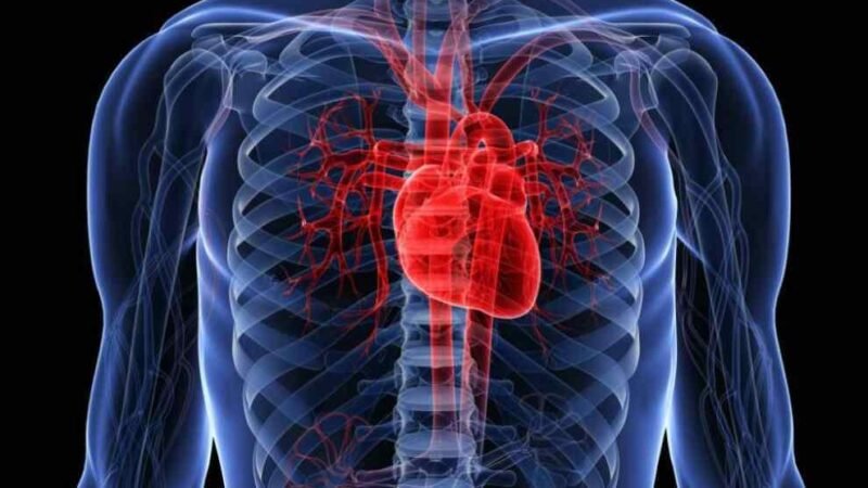 ENFERMEDADES DEL CORAZÓN ES LA PRINCIPAL CAUSA DE MUERTE EN MÉXICO