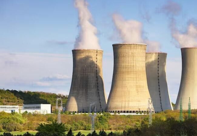 ENJAMBRE DE MEDUSAS PARALIZA CENTRAL NUCLEAR EN FRANCIA