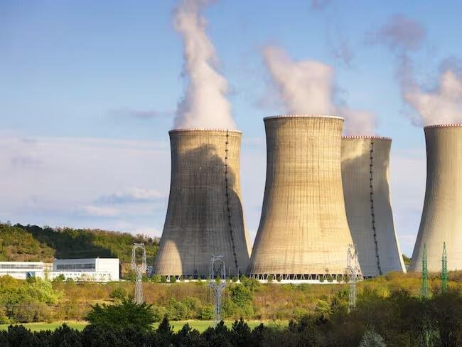 ENJAMBRE DE MEDUSAS PARALIZA CENTRAL NUCLEAR EN FRANCIA
