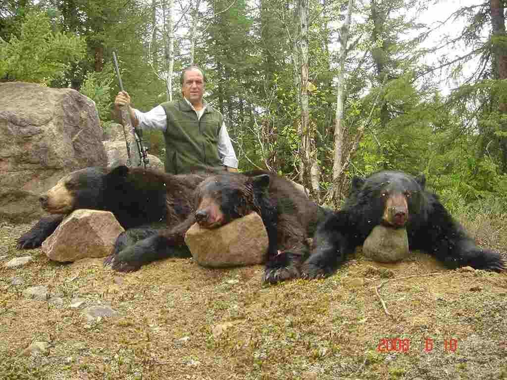 APRUEBAN CAZA DE OSOS NEGROS EN FLORIDA