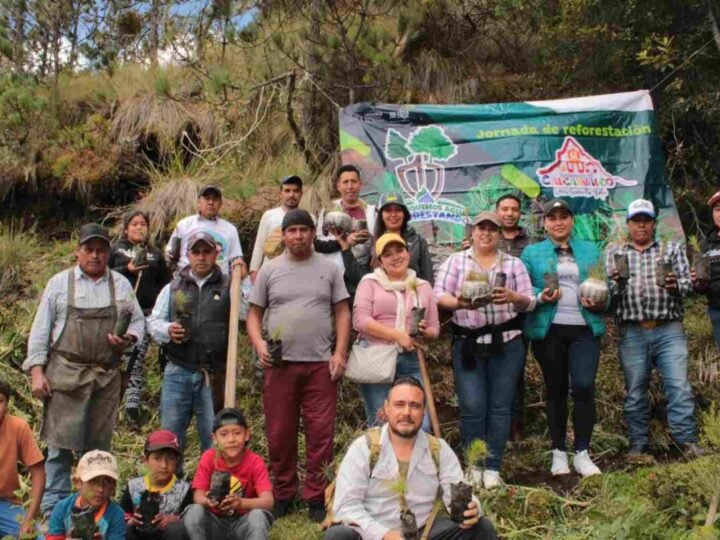 REFORESTAN EL PICO DE ORIZABA
