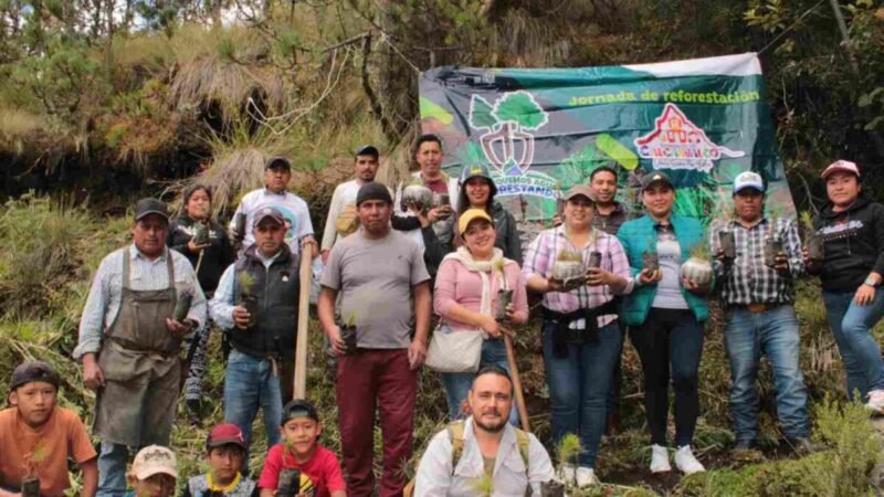 REFORESTAN EL PICO DE ORIZABA