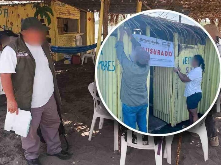 CLAUSURAN PALAPAS IRREGULARES EN ZONA DE ANIDACIÓN DE TORTUGAS