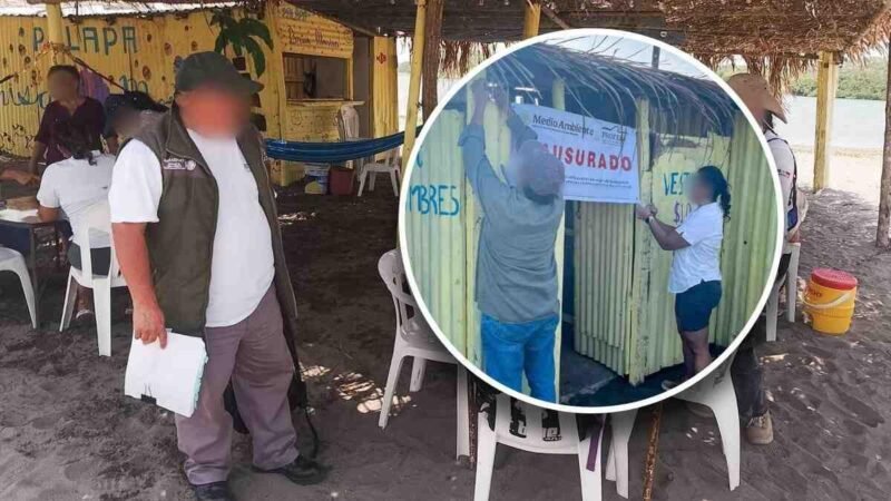 CLAUSURAN PALAPAS IRREGULARES EN ZONA DE ANIDACIÓN DE TORTUGAS