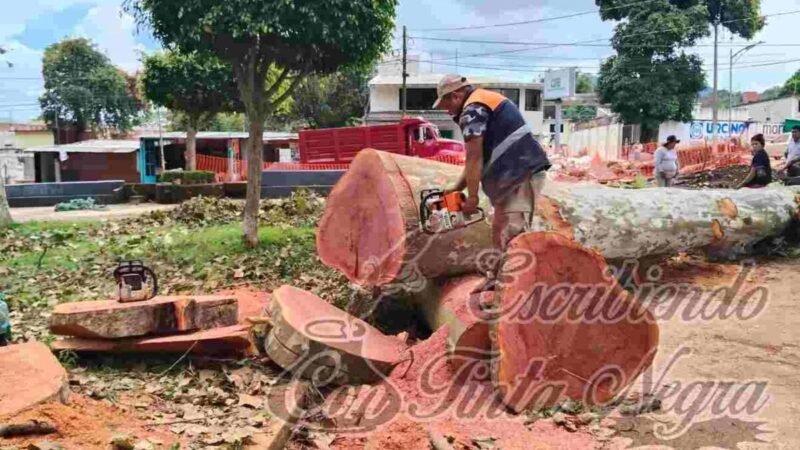 CONTINÚAN TRABAJOS PREVENTIVOS EN ALAMEDA DE HUATUSCO