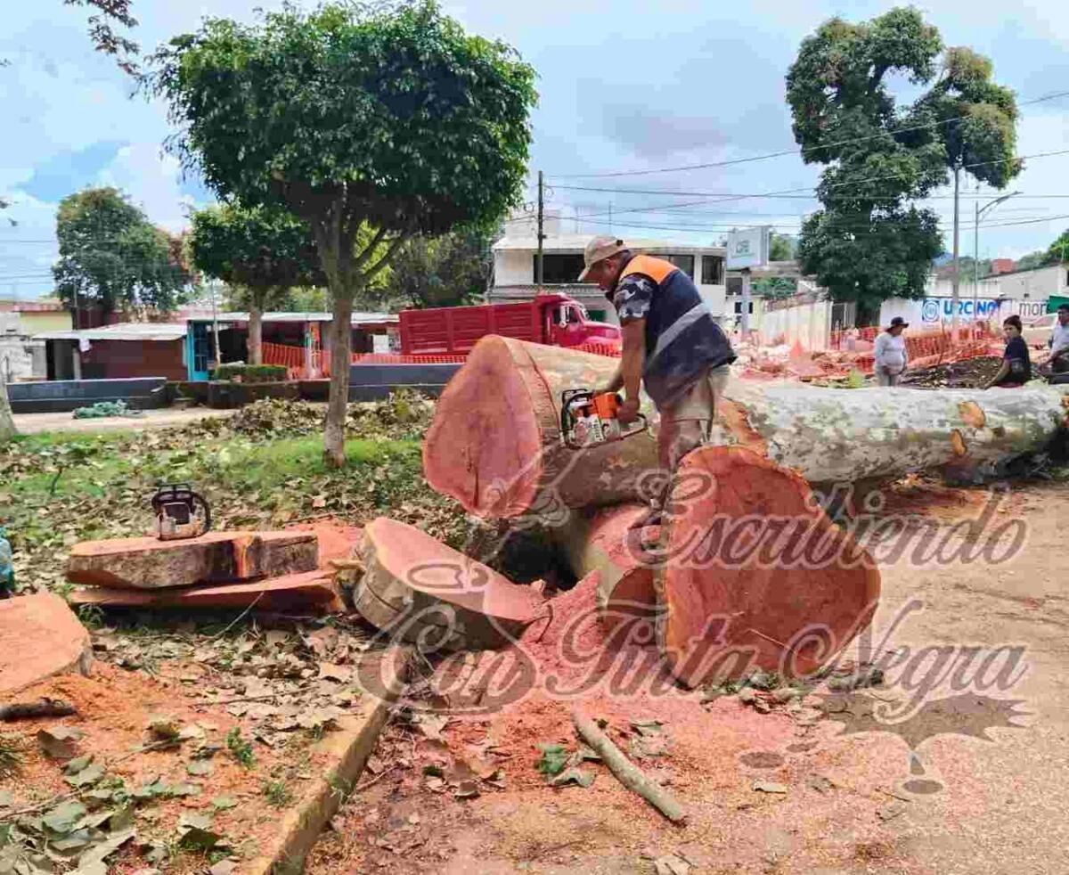 CONTINÚAN TRABAJOS PREVENTIVOS EN ALAMEDA DE HUATUSCO