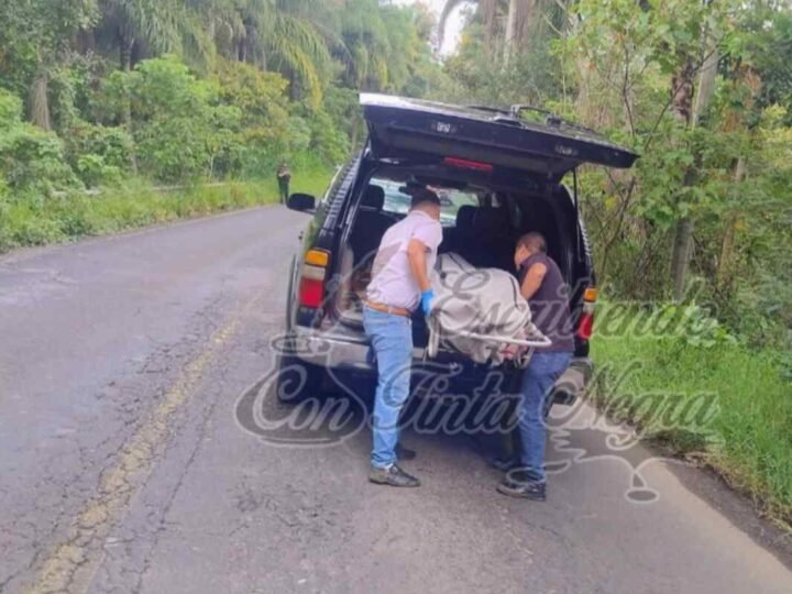 COBRADOR, EL QUE SE MATÓ AL CHOCAR CON POSTE