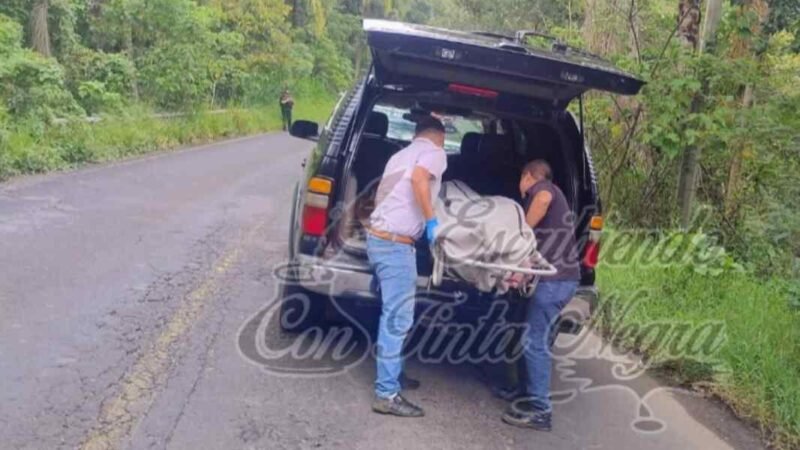 COBRADOR, EL QUE SE MATÓ AL CHOCAR CON POSTE