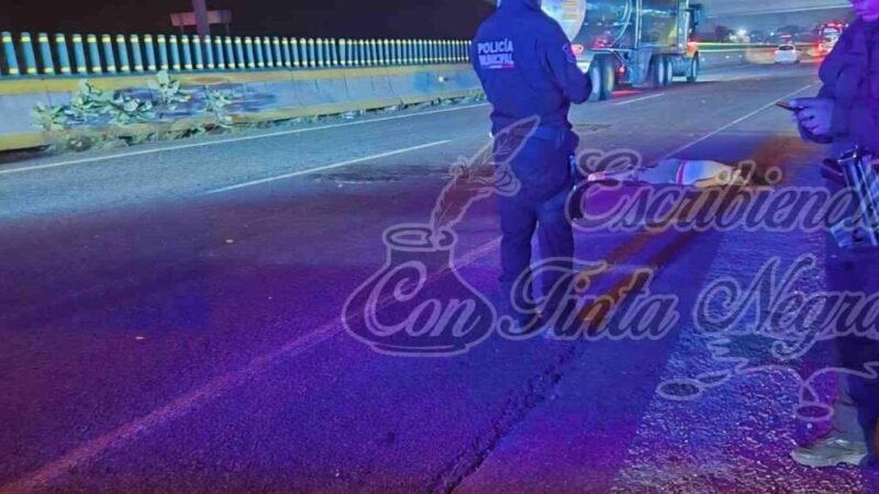 MUERE AL SER ARROLLADA POR VEHÍCULO EN LA AUTOPISTA