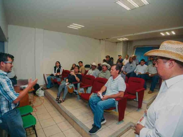 IMPARTEN PLÁTICA SOBRE GUSANO BARRENADOR
