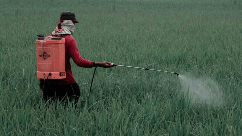 GOBIERNO DE MÉXICO PROHÍBE 35 PLAGUICIDAS PELIGROSOS