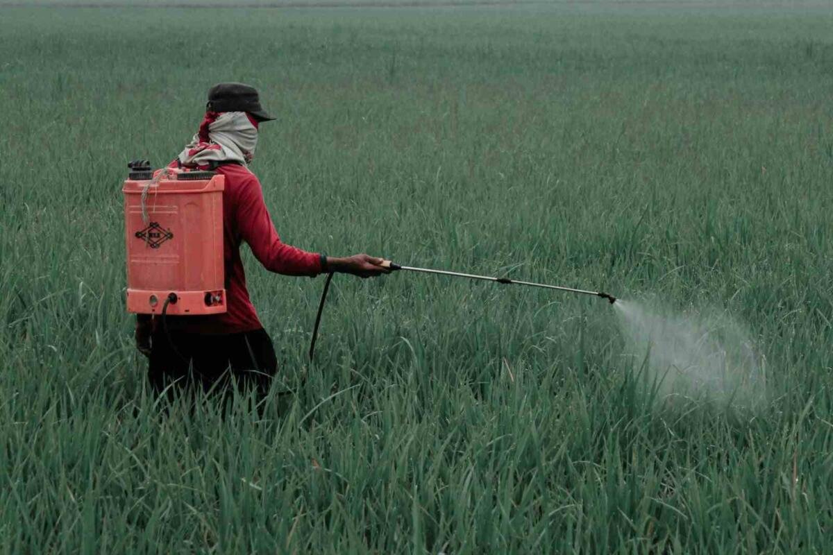 GOBIERNO DE MÉXICO PROHÍBE 35 PLAGUICIDAS PELIGROSOS