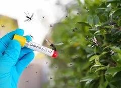 INICIÓ EL MES DE SEPTIEMBRE CON 755 CONTAGIOS DE DENGUE EN MÉXICO