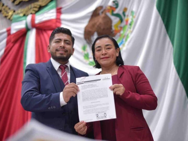 TENDRÍA VERACRUZ LEY PARA LA PRODUCCIÓN Y COMERCIALIZACIÓN DEL AGUACATE