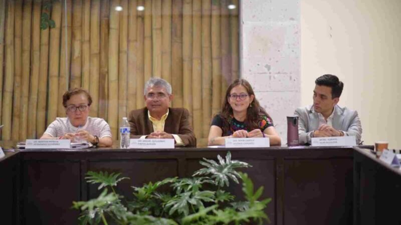 ANALIZAN PROPUESTAS PARA CREAR INICIATIVA DE LEY DE MOVILIDAD Y SEGURIDAD VIAL