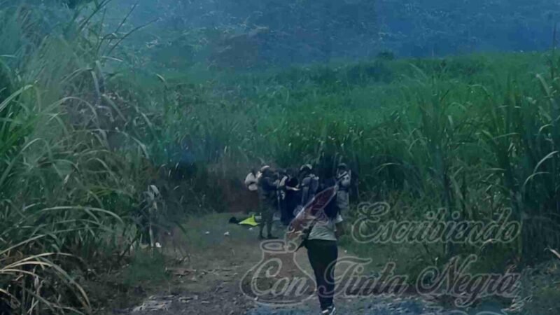 EJECUTADO EN OMEALCA