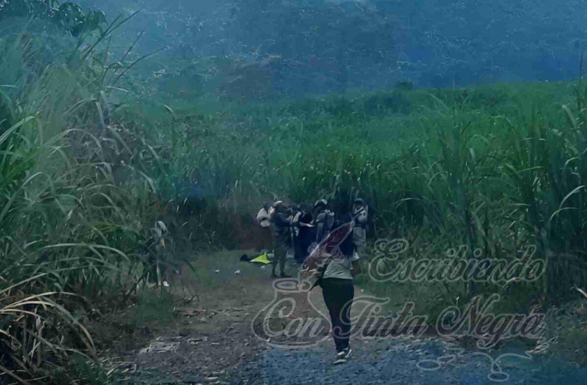 EJECUTADO EN OMEALCA