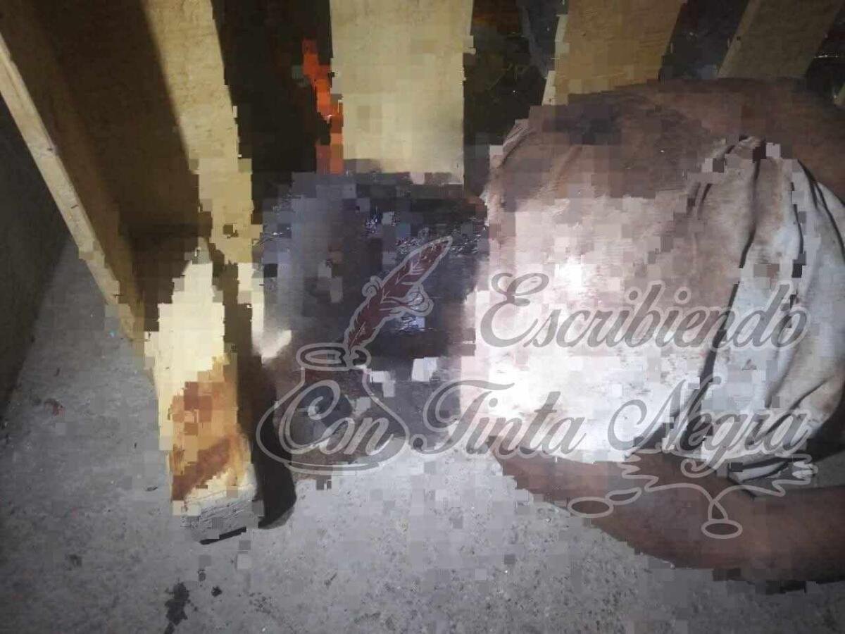 LO ASESINAN A GOLPES