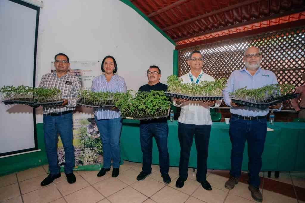 INSTALAN MACRO TÚNEL EN CBTA 99