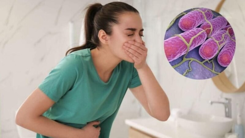ALERTA IMSS VERACRUZ SOBRE LA SALMONELOSIS