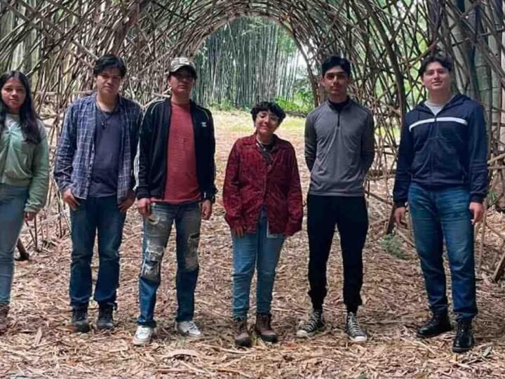 INNOVA TECNOLÓGICO DE HUATUSCO EN CONSTRUCCIÓN UTILIZANDO BAMBÚ