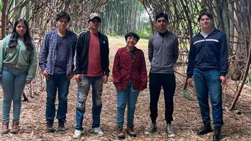 INNOVA TECNOLÓGICO DE HUATUSCO EN CONSTRUCCIÓN UTILIZANDO BAMBÚ