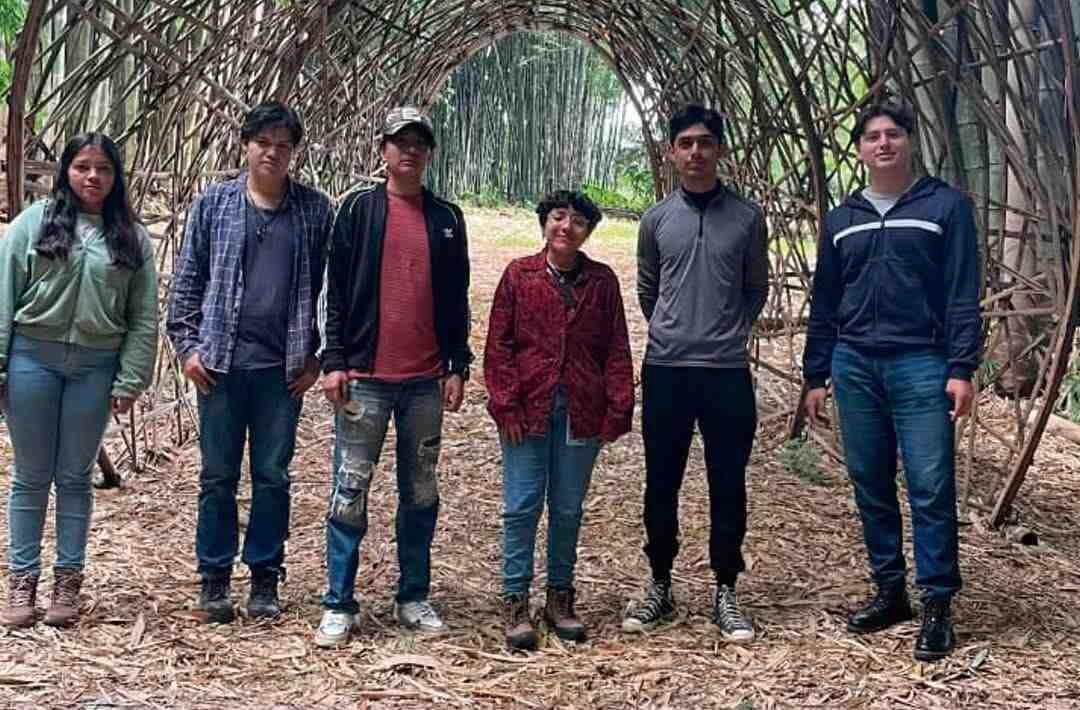 INNOVA TECNOLÓGICO DE HUATUSCO EN CONSTRUCCIÓN UTILIZANDO BAMBÚ