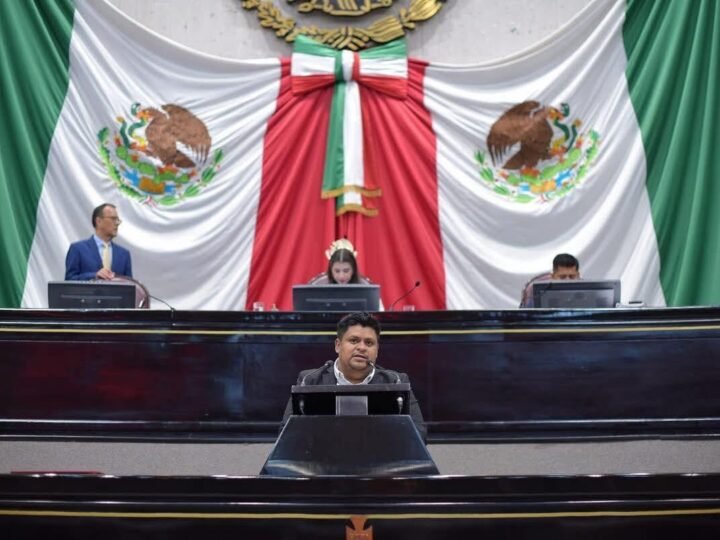 PIDE DIPUTADO OMAR BLANCO EMPRENDER ACCIONES DE REFORESTACIÓN