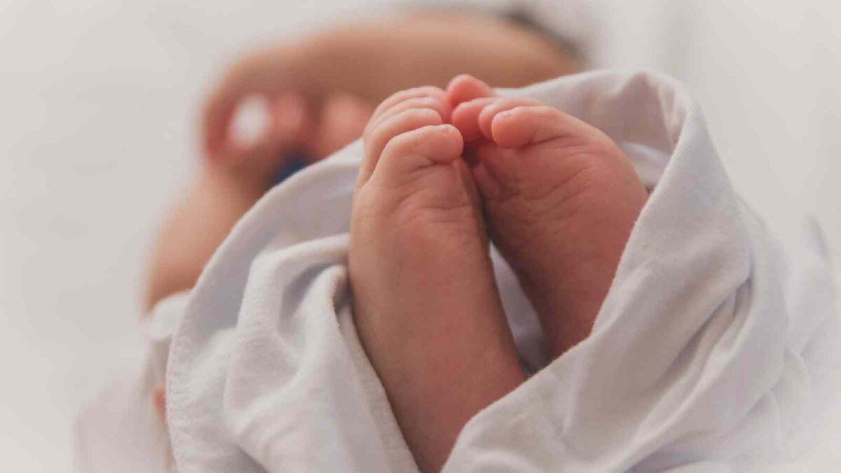 SUMAN 71 BEBÉS MUERTOS POR TOS FERINA